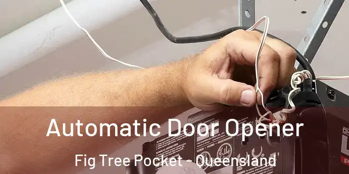 Automatic Door Opener Fig Tree Pocket - Queensland
