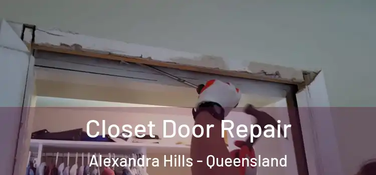 Closet Door Repair Alexandra Hills - Queensland