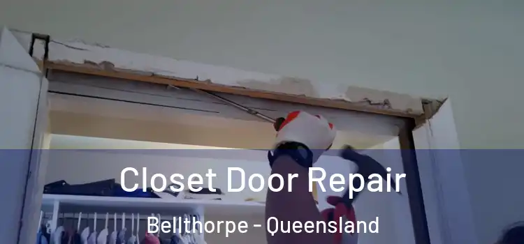 Closet Door Repair Bellthorpe - Queensland
