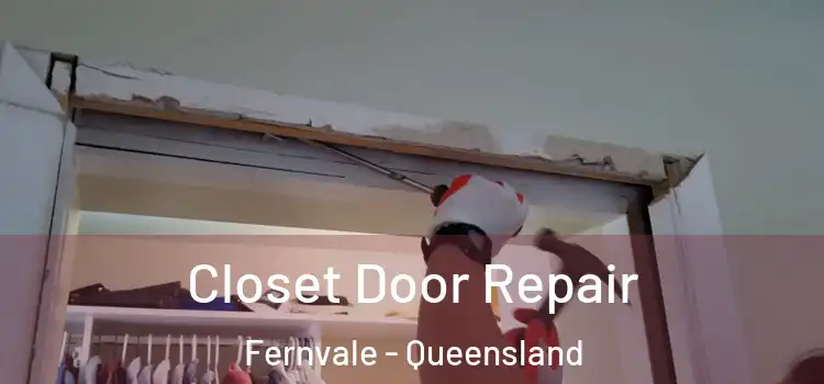 Closet Door Repair Fernvale - Queensland