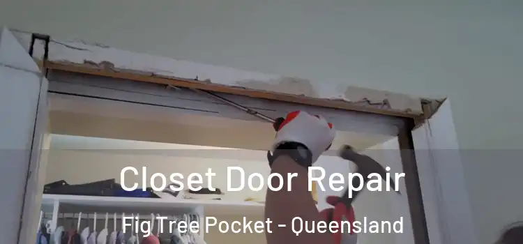 Closet Door Repair Fig Tree Pocket - Queensland