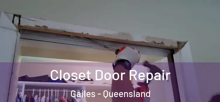 Closet Door Repair Gailes - Queensland