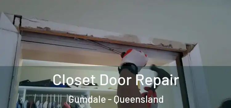 Closet Door Repair Gumdale - Queensland