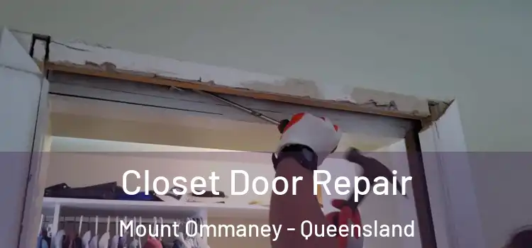 Closet Door Repair Mount Ommaney - Queensland