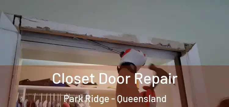 Closet Door Repair Park Ridge - Queensland