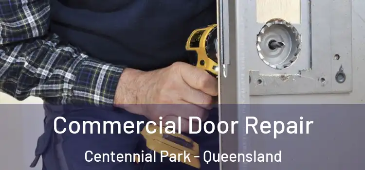 Commercial Door Repair Centennial Park - Queensland