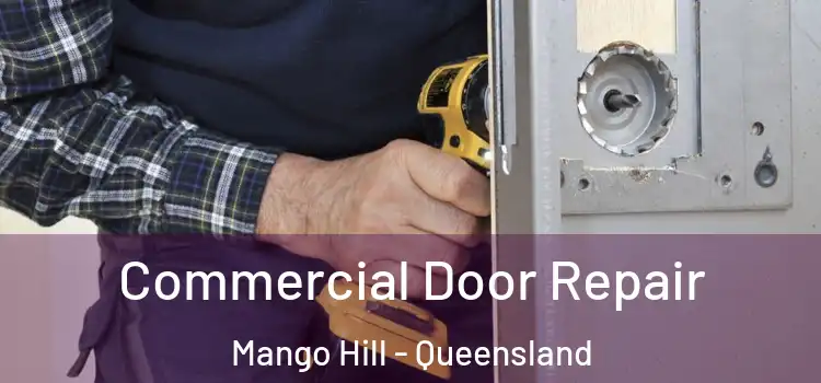 Commercial Door Repair Mango Hill - Queensland