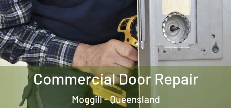 Commercial Door Repair Moggill - Queensland