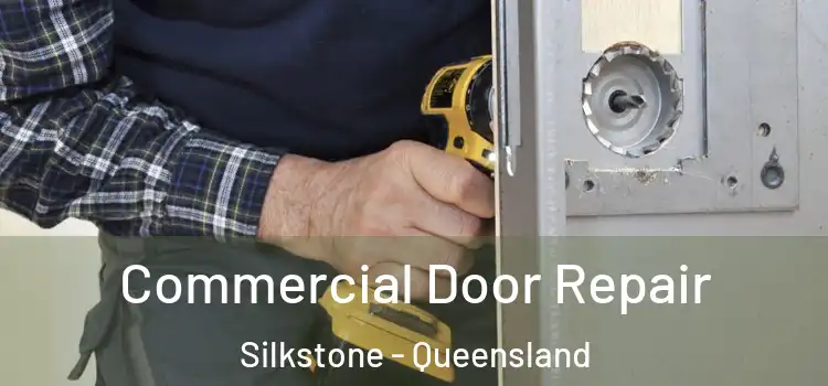 Commercial Door Repair Silkstone - Queensland