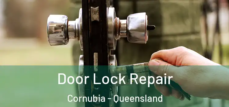 Door Lock Repair Cornubia - Queensland