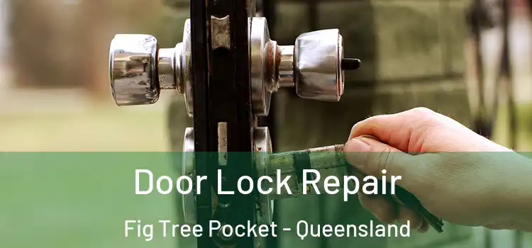 Door Lock Repair Fig Tree Pocket - Queensland