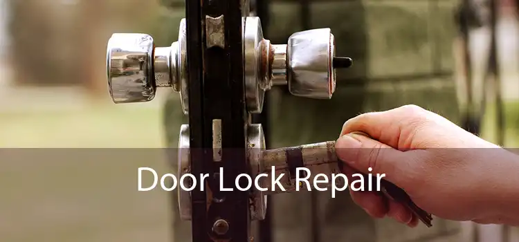 Door Lock Repair