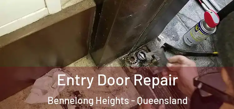 Entry Door Repair Bennelong Heights - Queensland