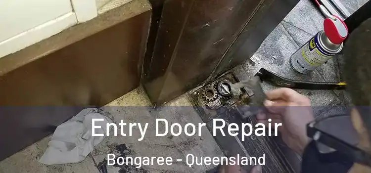 Entry Door Repair Bongaree - Queensland
