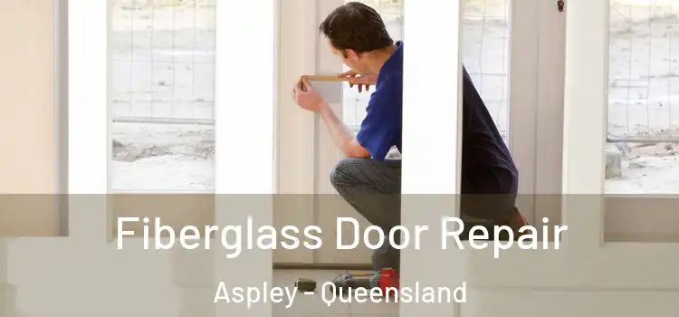 Fiberglass Door Repair Aspley - Queensland