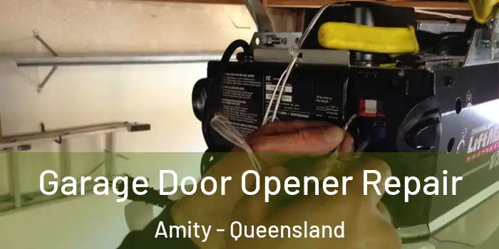 Garage Door Opener Repair Amity - Queensland