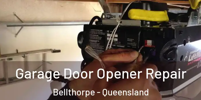 Garage Door Opener Repair Bellthorpe - Queensland