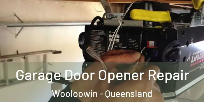 Garage Door Opener Repair Wooloowin - Queensland