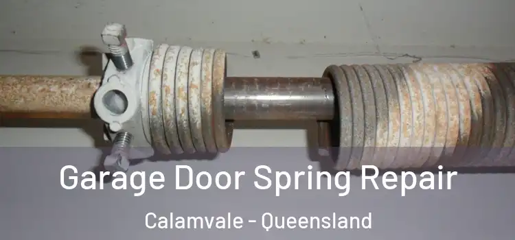 Garage Door Spring Repair Calamvale - Queensland