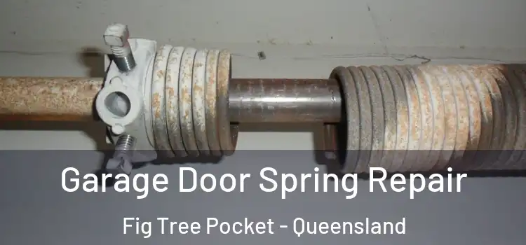 Garage Door Spring Repair Fig Tree Pocket - Queensland