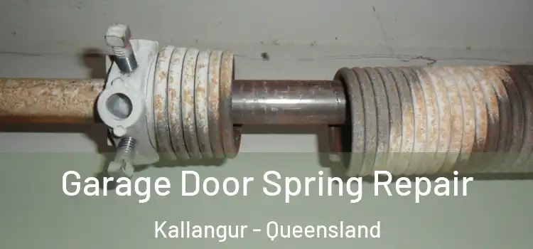 Garage Door Spring Repair Kallangur - Queensland