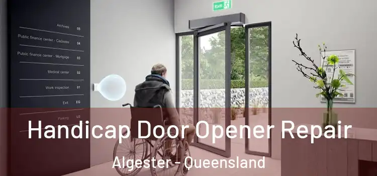 Handicap Door Opener Repair Algester - Queensland