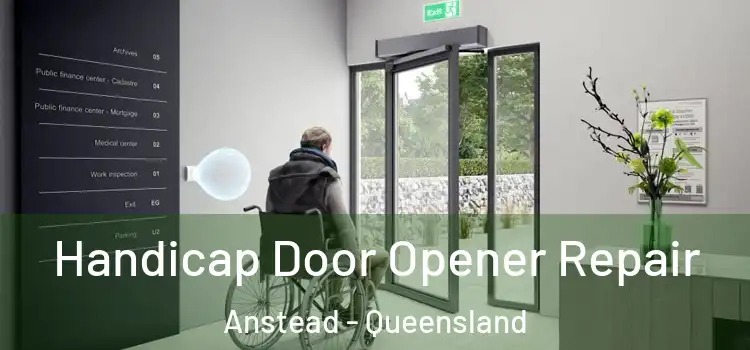 Handicap Door Opener Repair Anstead - Queensland