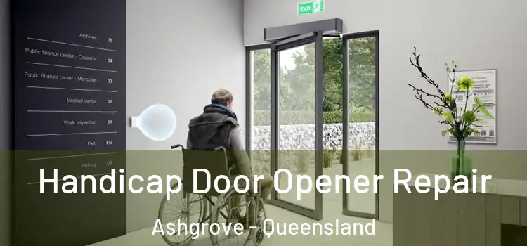 Handicap Door Opener Repair Ashgrove - Queensland