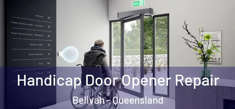 Handicap Door Opener Repair Belivah - Queensland