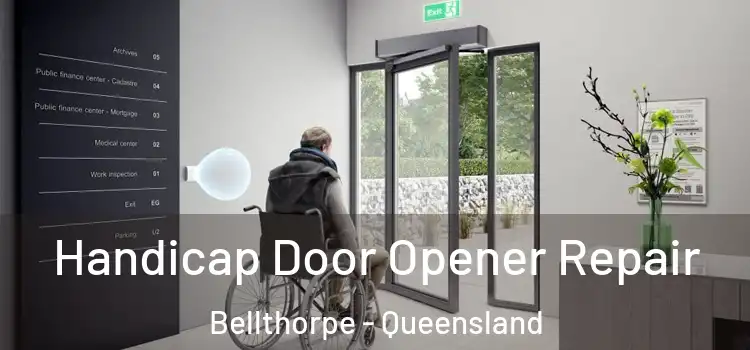 Handicap Door Opener Repair Bellthorpe - Queensland