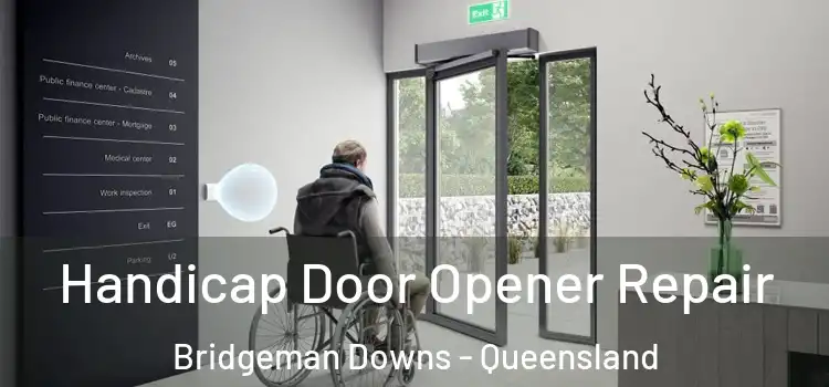 Handicap Door Opener Repair Bridgeman Downs - Queensland