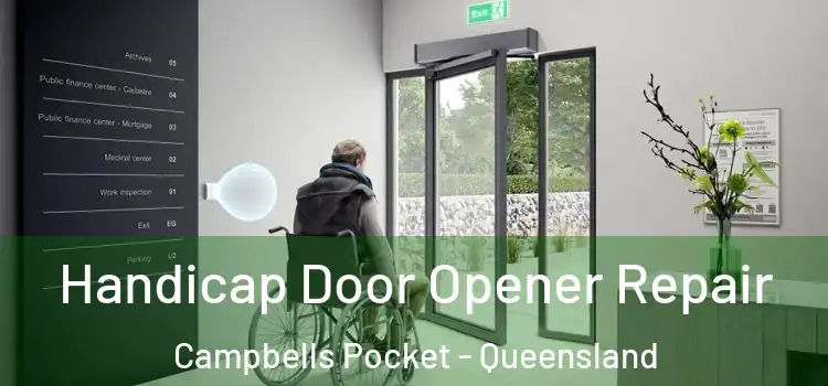 Handicap Door Opener Repair Campbells Pocket - Queensland