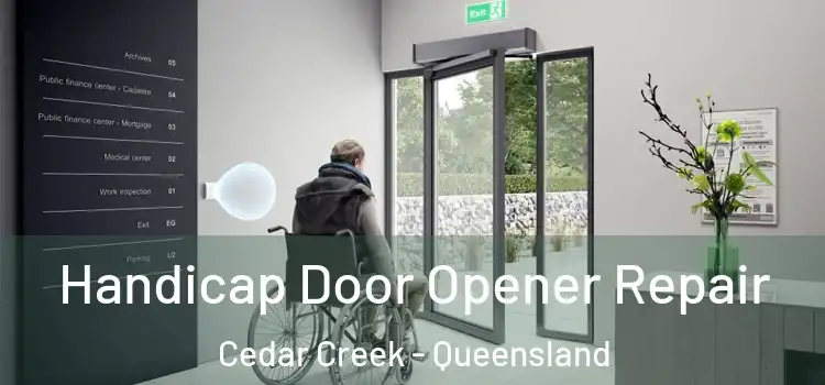 Handicap Door Opener Repair Cedar Creek - Queensland