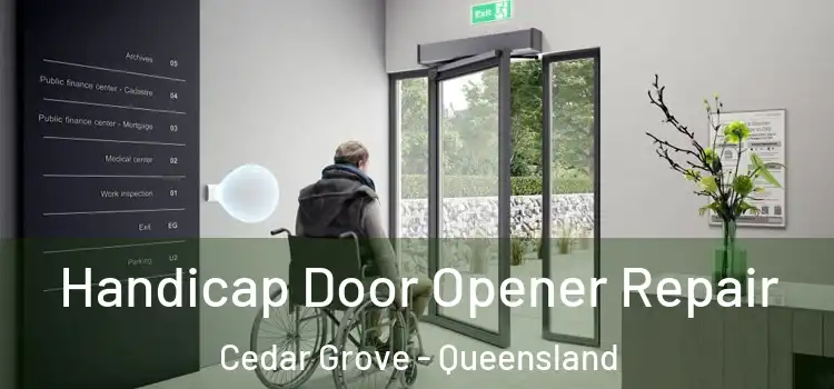 Handicap Door Opener Repair Cedar Grove - Queensland