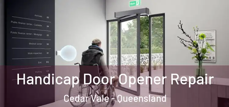 Handicap Door Opener Repair Cedar Vale - Queensland