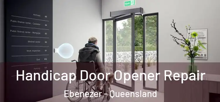Handicap Door Opener Repair Ebenezer - Queensland