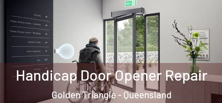 Handicap Door Opener Repair Golden Triangle - Queensland
