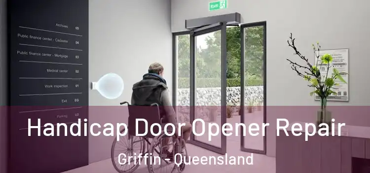 Handicap Door Opener Repair Griffin - Queensland