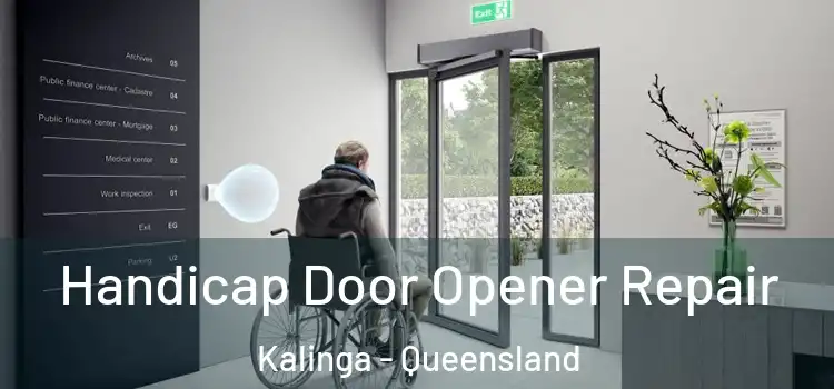Handicap Door Opener Repair Kalinga - Queensland
