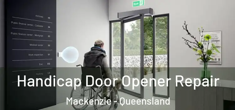 Handicap Door Opener Repair Mackenzie - Queensland