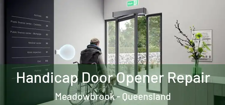 Handicap Door Opener Repair Meadowbrook - Queensland