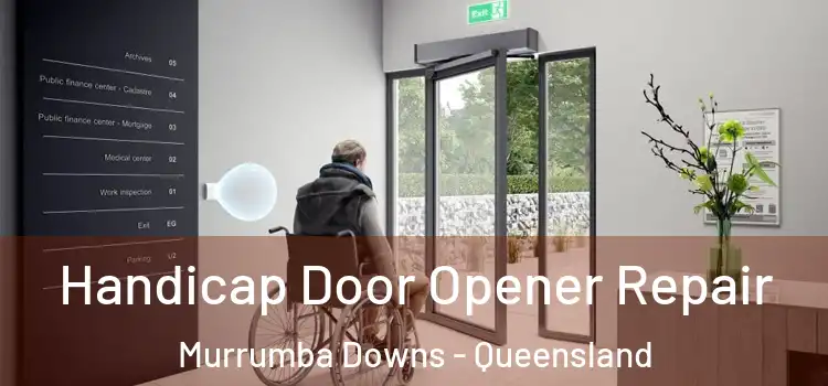 Handicap Door Opener Repair Murrumba Downs - Queensland