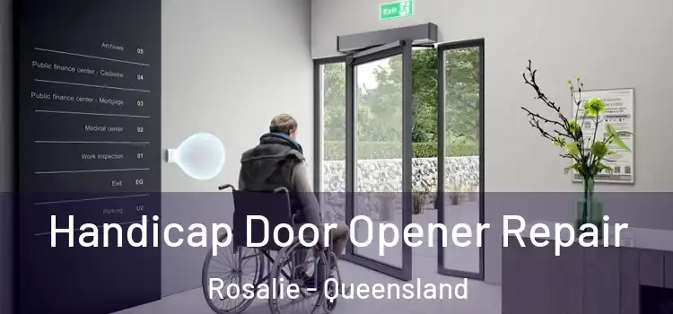 Handicap Door Opener Repair Rosalie - Queensland