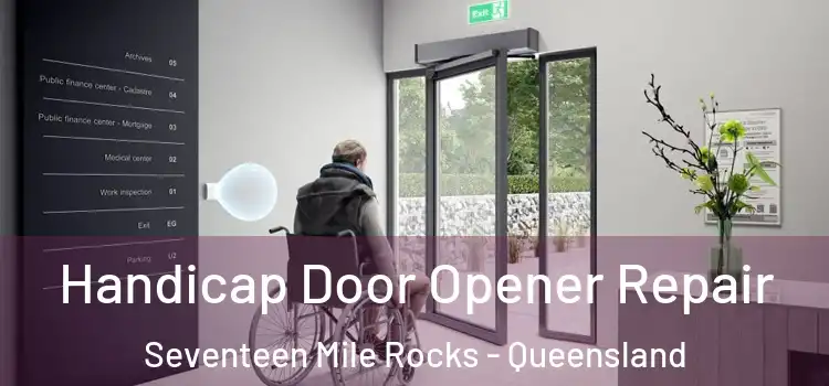 Handicap Door Opener Repair Seventeen Mile Rocks - Queensland