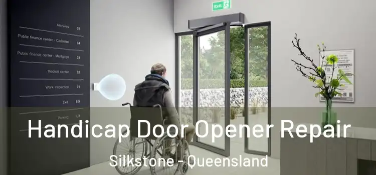 Handicap Door Opener Repair Silkstone - Queensland