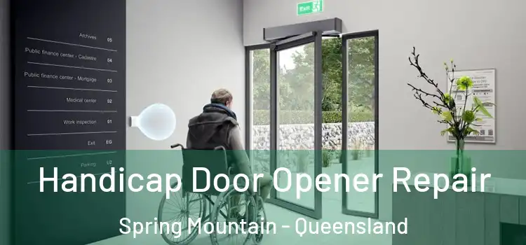 Handicap Door Opener Repair Spring Mountain - Queensland