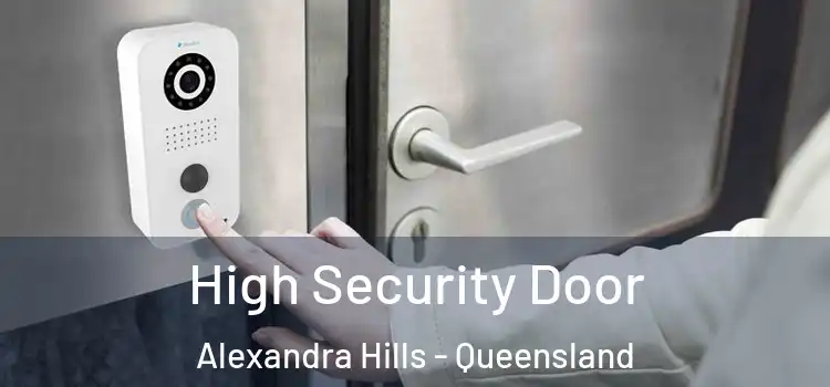 High Security Door Alexandra Hills - Queensland