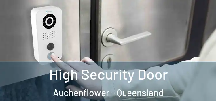 High Security Door Auchenflower - Queensland