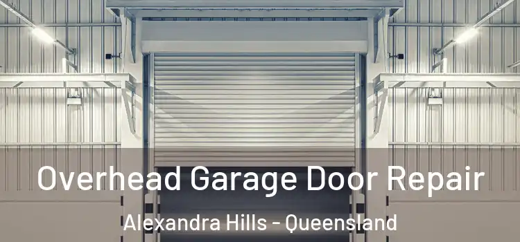 Overhead Garage Door Repair Alexandra Hills - Queensland
