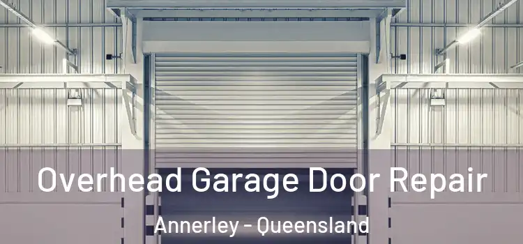 Overhead Garage Door Repair Annerley - Queensland